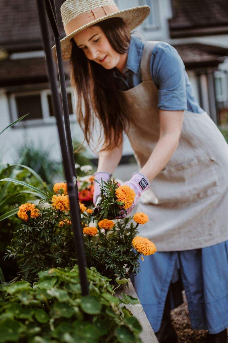 春の植え替えで庭をもっと元気に
